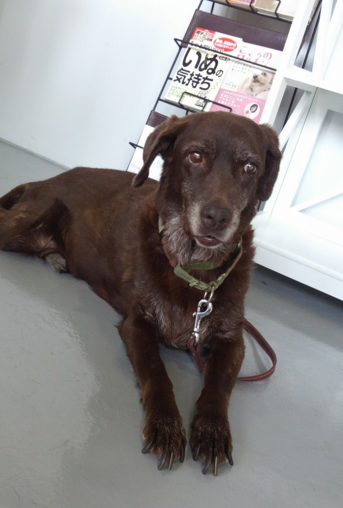 遊びに来てくれました