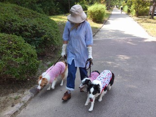 問題行動改善トレーニング（1）