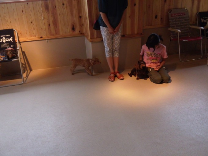 2013年9月1日のパピークラス