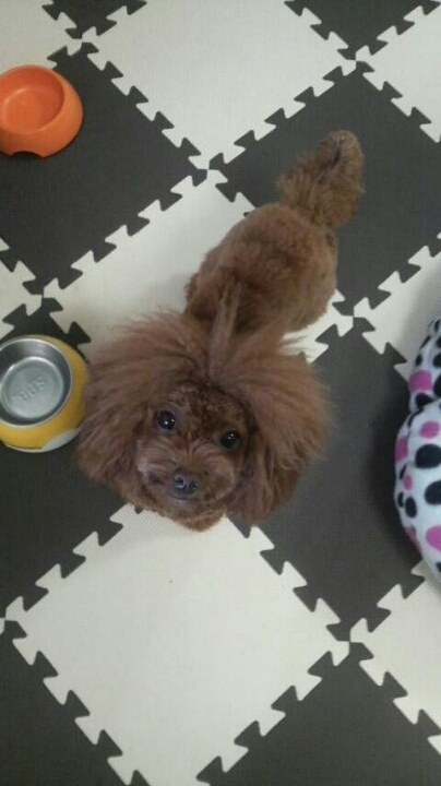 大忙しっっ！！