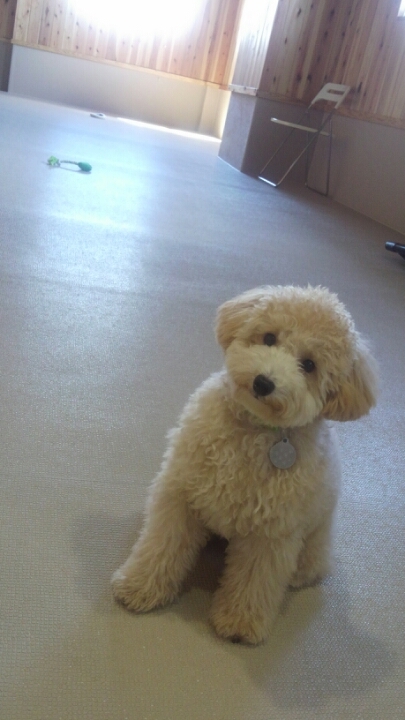 それぞれの時間