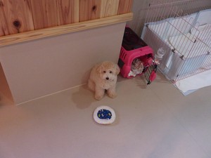 各自、課題にボットウ中・・・