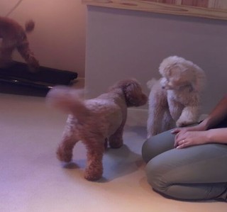 ほのぼの遊ぶ・・・