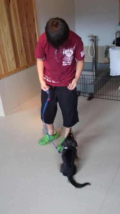 まぁ。降りますね(´д｀|||)