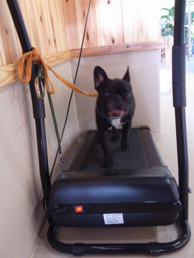 アクセスッッッ！！！