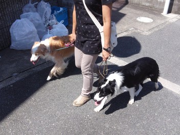 ボーダーズ（1）