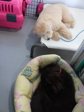 また～り・・・