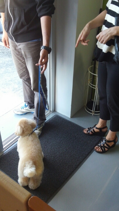 散歩はどこから始まってる？