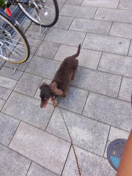 今日は久しぶりに