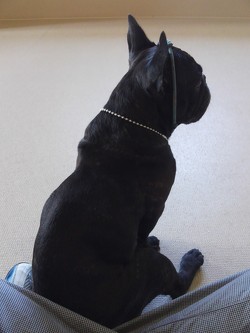 今日も暑かった(~_~;)