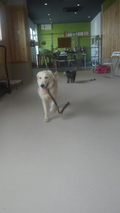 明日は何の日？！