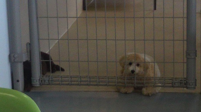 昼ごはん中・・・