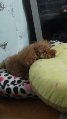 何を隠そう・・・明日は・・・