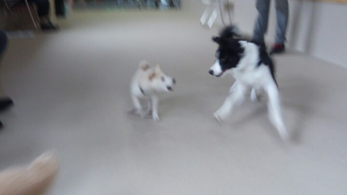 躍動感たっぷり～