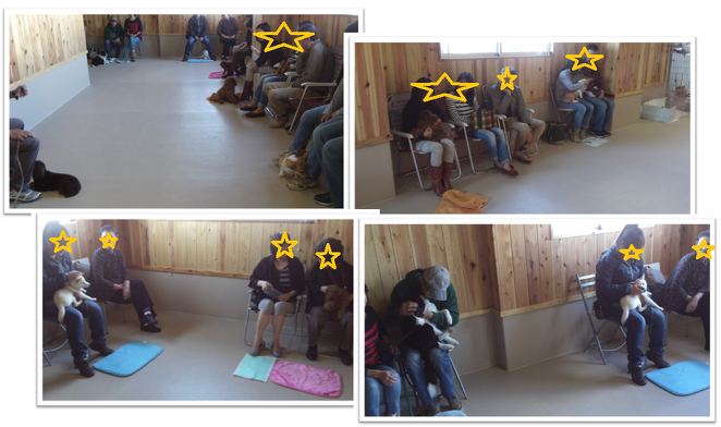 実は重要なことなんです！！！（2013年10月27日のパピークラス＆しつけ教室）