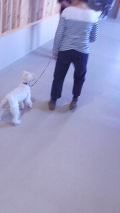 日曜日がキターーー(^w^)