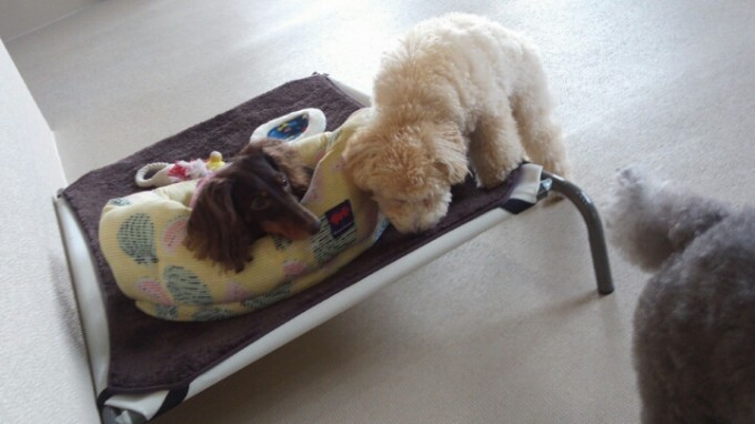 三度の飯より？？？