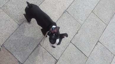 本日より新入生です♪