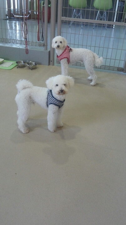 何とも言えない顔