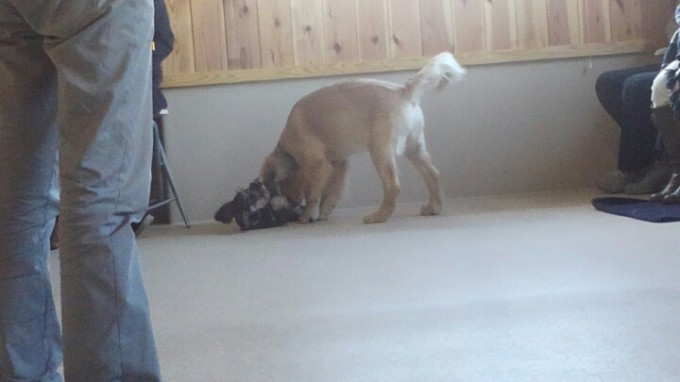 パピークラスでの一幕…