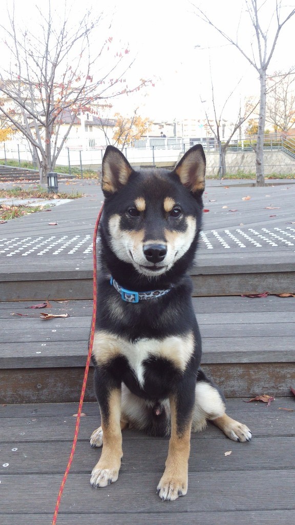 ちょっぴりバタバタ