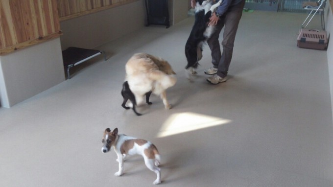 好きなもの【遊び】【食事】