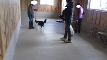 まずは、2013年12月8日のしつけクラスから