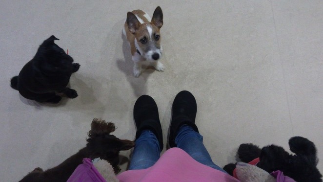 昨日はこんな一日でした・・・