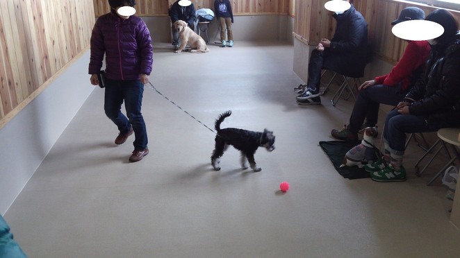 2013年12月15日のパピークラス「心の繋がり」