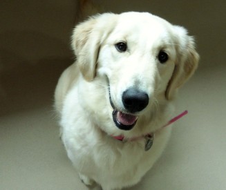 できて当たり前のこと？？？