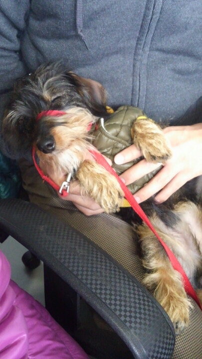 ボディコントロール