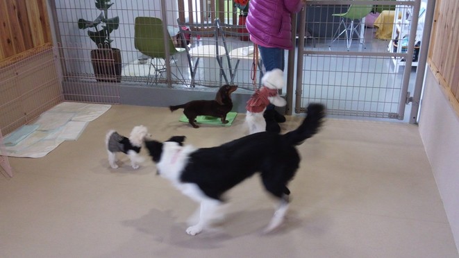 あそぼ～ぜぃ♪