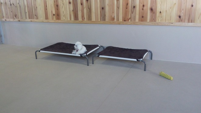 まあ、まあ、落ち着きなはれ