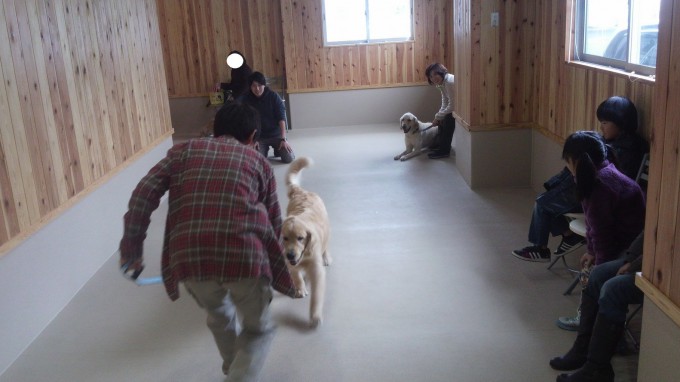 トレロの裏の顔！？（2014年2月2日のパピークラス＆しつけ教室）