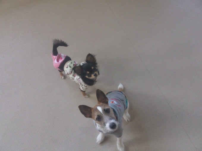 大粒・中粒・小粒