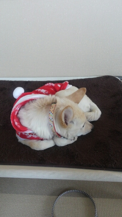 どれだけ遊べば…