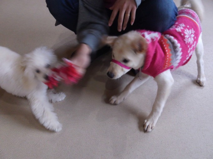 ヘトヘト？？？