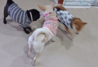 色々やっとります