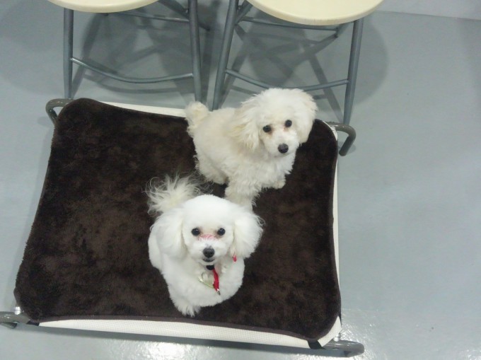 雨の日のアイテム♪