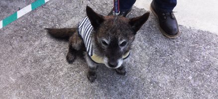 あいにくの天気