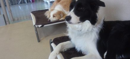 山越え～谷越え～