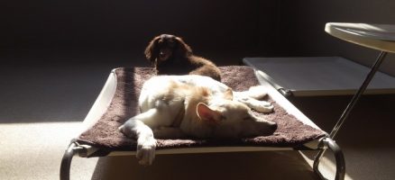 週末はお天気崩れるそうですよ