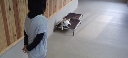 「デイケア」宿題の練習