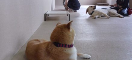 賑やかなメンバー