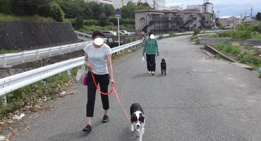 蒸し暑い(；一_一)（2014年6月29日のしつけ教室）