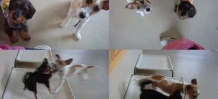 午後から曇り・・・ラッキー♪