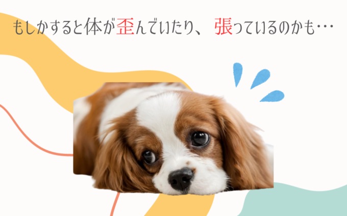 お外は大雨・・・