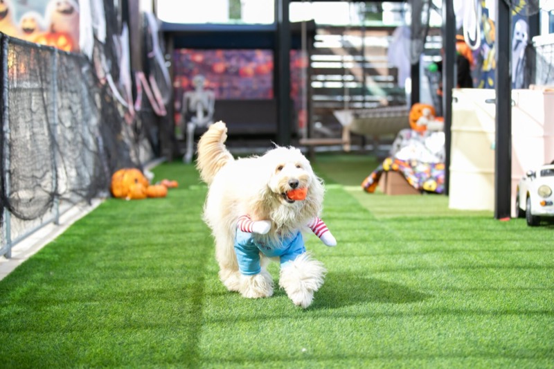 今日は比較的過ごしやすいお天気ですね^m^