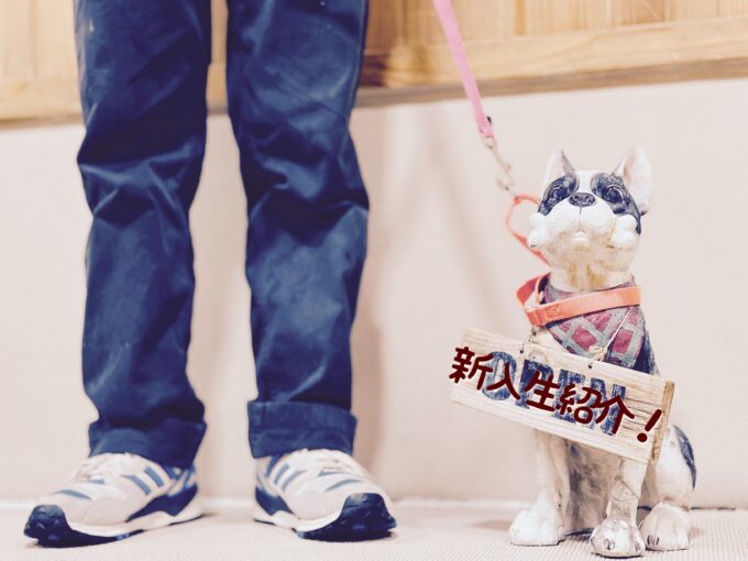 2013年6月25日のパピークラス