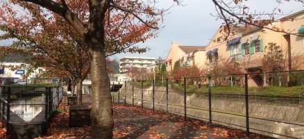 新入生のご紹介～ダックスちゃん特集～